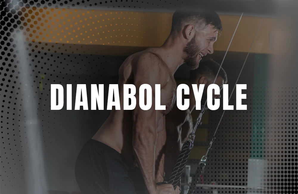 Dianabol cycle
